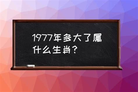 1977屬什麼|1977年属什么生肖 1977年属什么生肖啥命